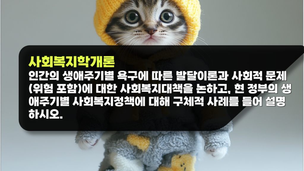 사회복지학개론 과제