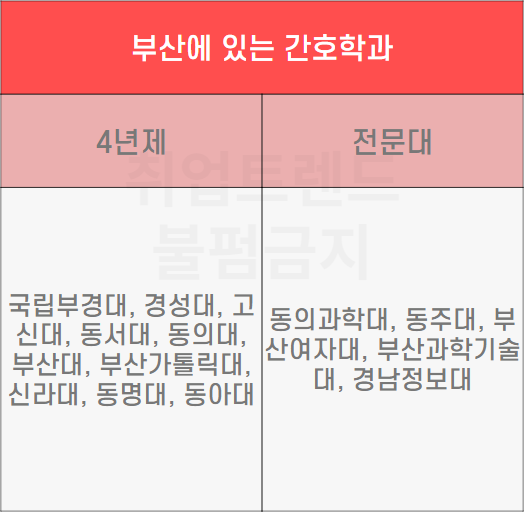 부산 간호학과 대학교 리스트